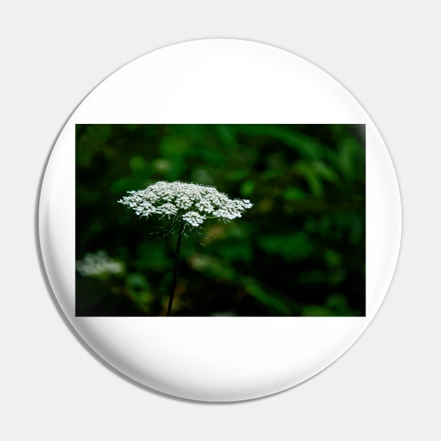 Queen Anne's Lace, White on Green Pin by BrianPShaw