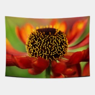 Helenium Fire Tapestry