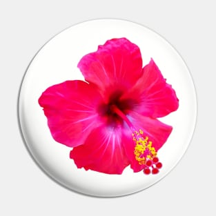 Red Hibiscus Flower Pin