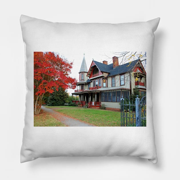 Lowenstein-Henkel House Pillow by Cynthia48