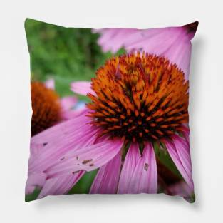 Pink Flower Pillow