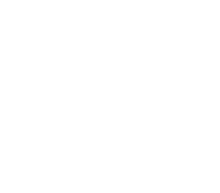 I drink beer like zombies eat brains Magnet