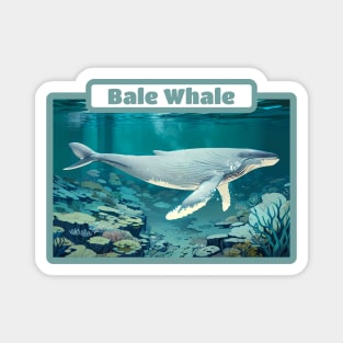 Whale Bale Magnet
