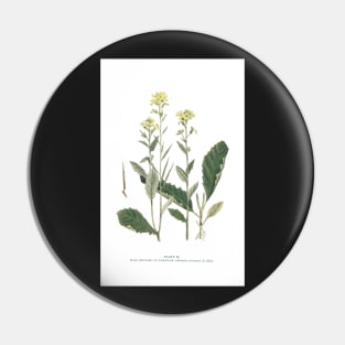 Wild Mustard Pin