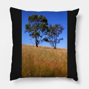 Australian Rural Scenic Pillow