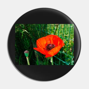 Giant Red Poppy Pin