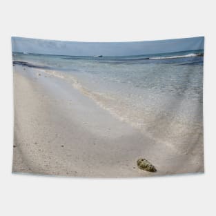 Isla Saona Seashell on Caribbean Beach Tapestry