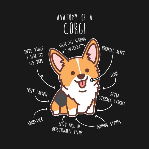 Red Headed Tri Corgi Dog Anatomy by Psitta