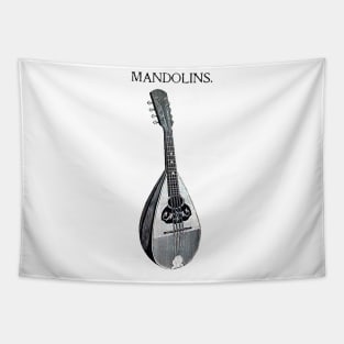 Medieval string instrument mandolins Tapestry