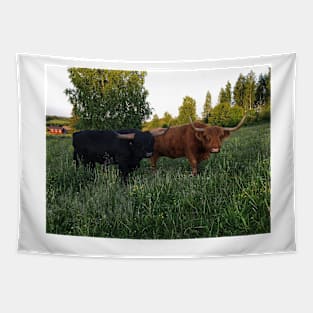 Scottish Highland Cattle Bull and Cow 2426 Tapestry