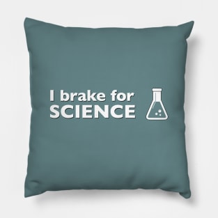 I Break for Science Pillow