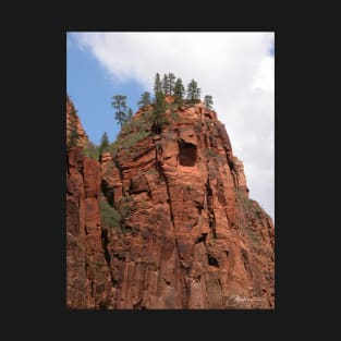 Pines Atop Red Rock T-Shirt