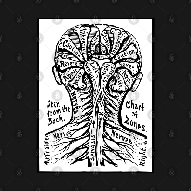 Chart Of Zones, Seen From The Back, The Book Of Life by the gulayfather