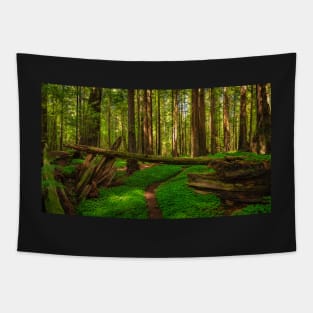 Redwood Forest Tapestry