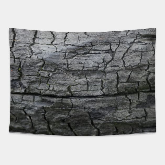 Charred wood texture Tapestry by textural