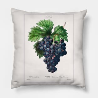 Vitis Vinifera Pillow