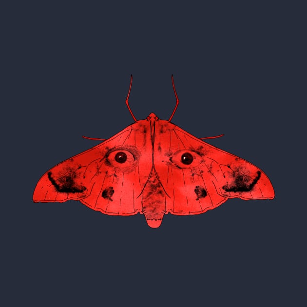 Moth and their eyes by Anna Dietzel