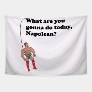 What are you gonna do today, Napolean? Tapestry