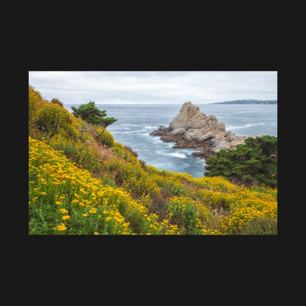 Sunflowers on Slope by jvnimages