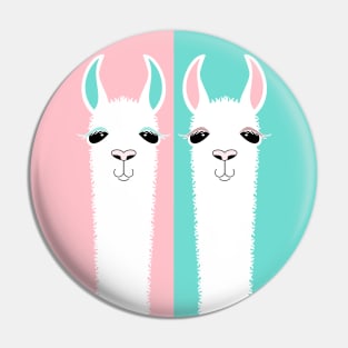 TWO ON PINK AND BLUE Pin