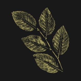 Beech Leaves Branch T-Shirt