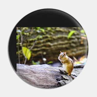 Chipmunk’s Pose Pin