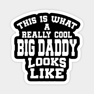 This Is What A Really Cool Big Daddy Looks Like tee design birthday gift graphic Magnet