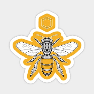 honeybee with honeycomb Magnet