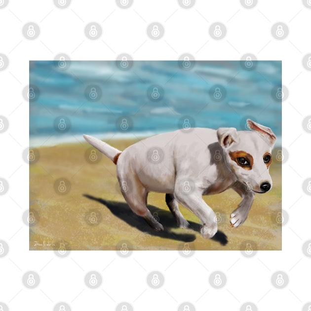 Beautiful Little White Chihuahua Running on The Beach by ibadishi