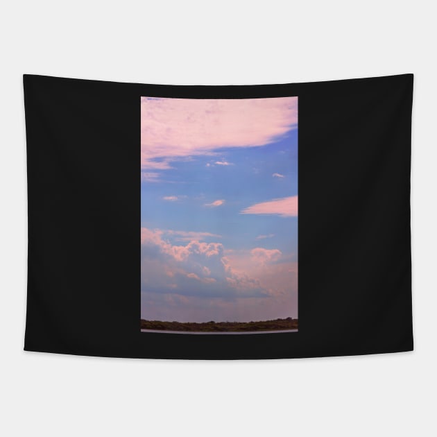 Roll in the Clouds Tapestry by tessiaphoto