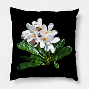 flower Pillow