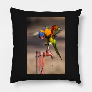 Orange Collared Lorikeet, Katherine Gorge NT Pillow