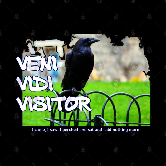 Veni Vidi Visitor - I came, I saw, I perched and sat and nothing more by soitwouldseem