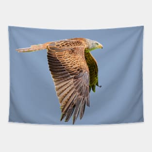 Red Kite in flight Tapestry