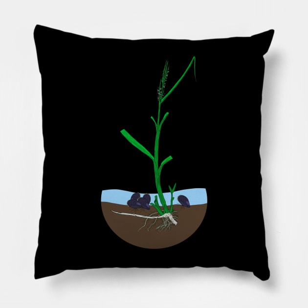 Spartina-Geukensia mutualism Pillow by DashingGecko