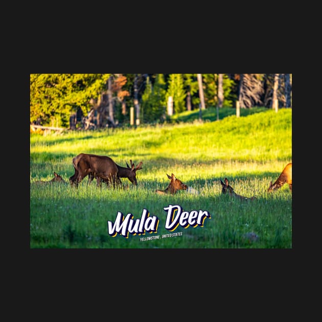 Mule Deer at Yellowstone by Gestalt Imagery