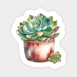 Succulents In Pot Magnet