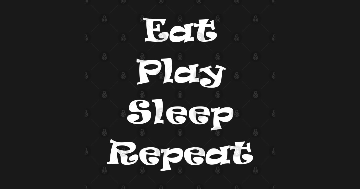 Eat Play Sleep Repeat Eat Play Sleep Repeat TShirt TeePublic