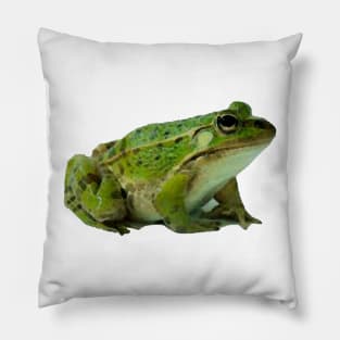 Frog Pillow