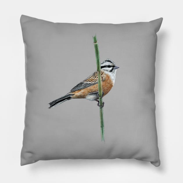 Rock bunting Pillow by Mikhail Vedernikov