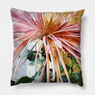 Chrysanthemums - Spider Mum Pink Splendor Pillow