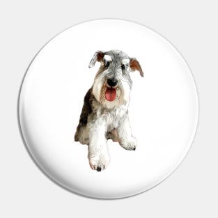 Mini Schnauzer Super Cute Dog! Pin