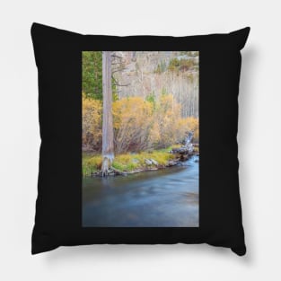 Autumnal Scene Pillow