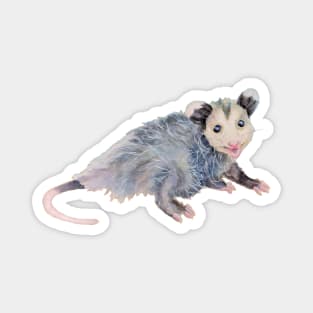 Awesome Opossum Mixed Media Illustration Magnet