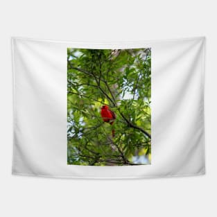 Perched Cardinal Tapestry