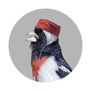 Rose-breasted grosbeak T-Shirt