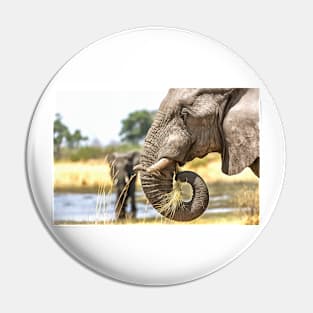 Elephant Eating Grass Pin