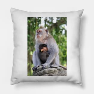 a monkey and baby sitting on a branch in ubud in bali Pillow