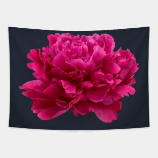 Hot Pink Peony Close-up Tapestry