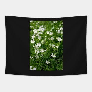 Wild Anemones (vert) Tapestry